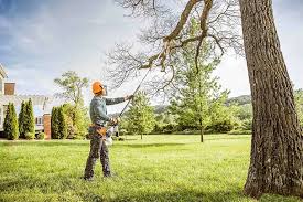 How Our Tree Care Process Works  in  Pelham, AL